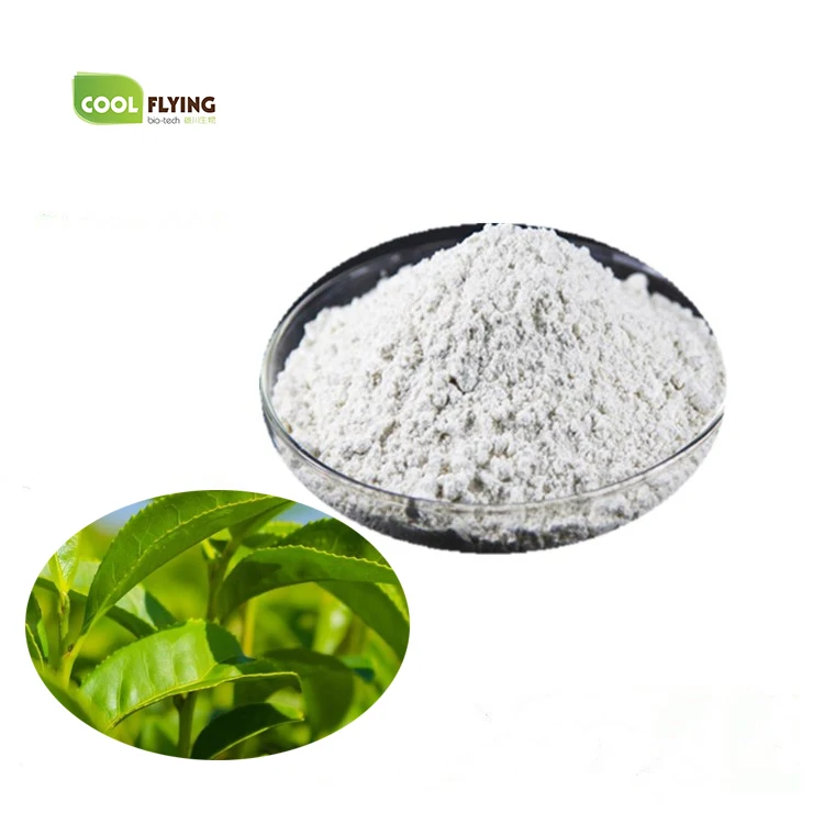 100% Natural  Green Tea Leaf Extract  Powder with Lower Price