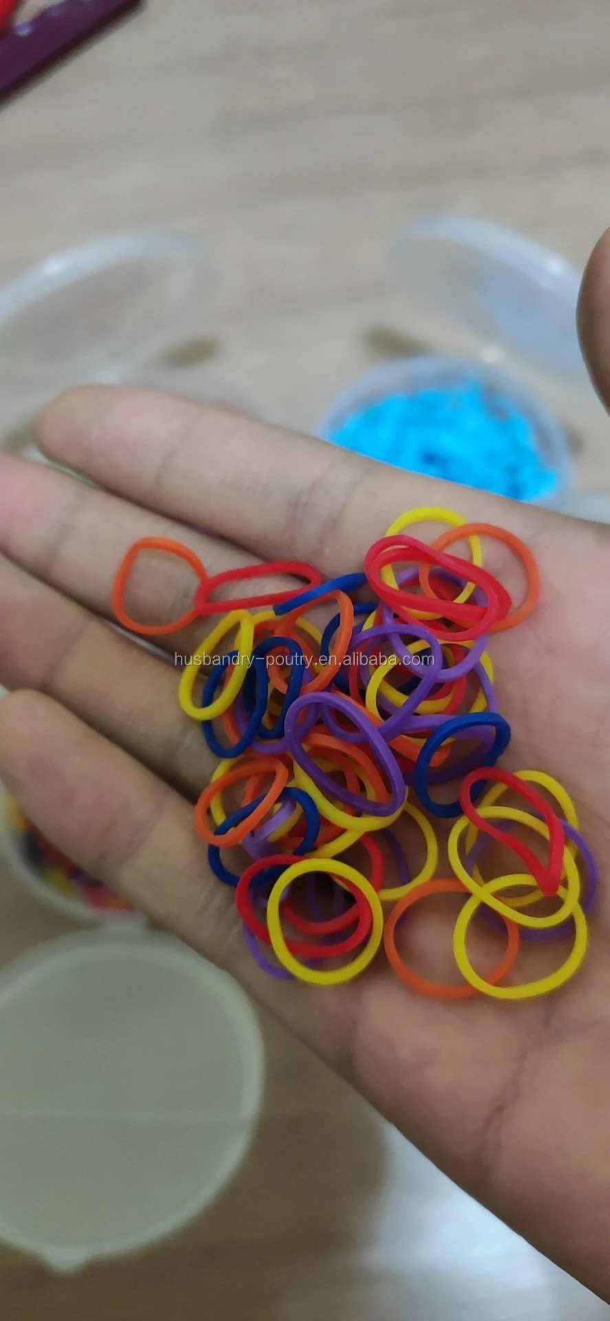 Equine Horse mane Bands and Bracelet for the horse