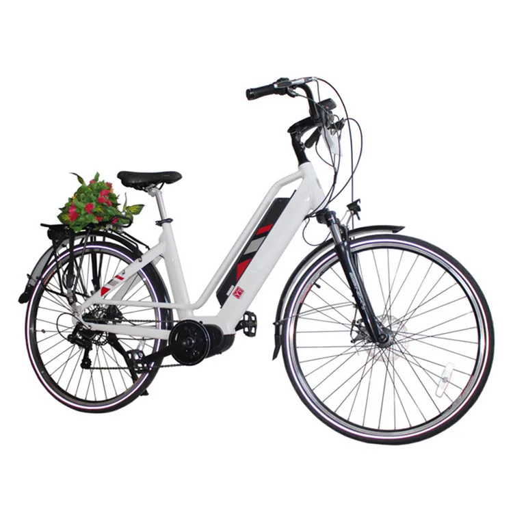 bicycle electric adult