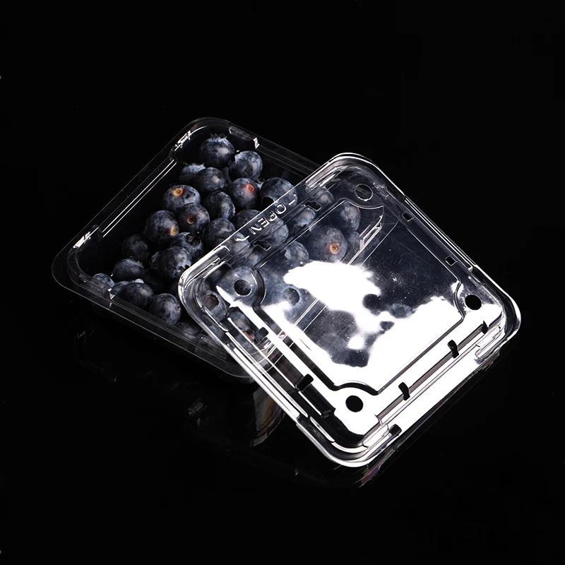 Clear Disposable Plastic Retangular Clamshell Blueberry Packaging Container