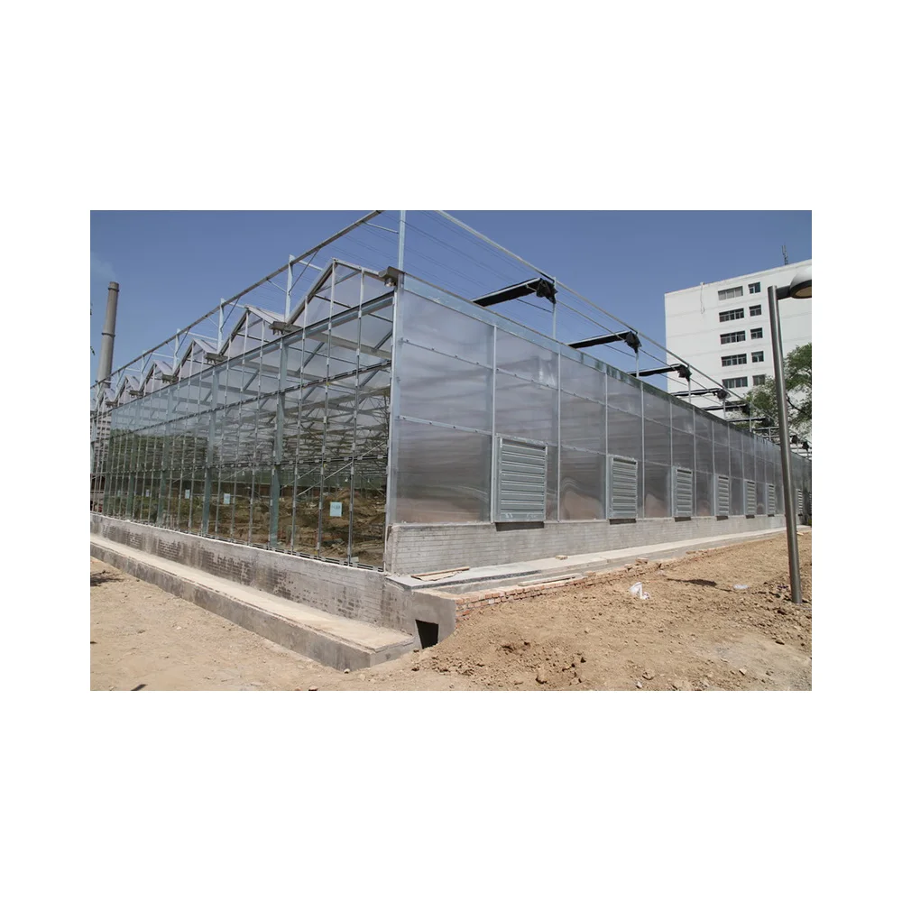 New Listing Large PC Span Wenluo Type Structure Can Be Customized Large Greenhouse