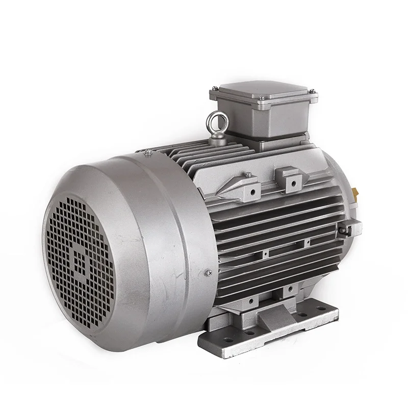 5hp 2hp 40 hp permanent magnet motor small 300 hp three phase electric motor