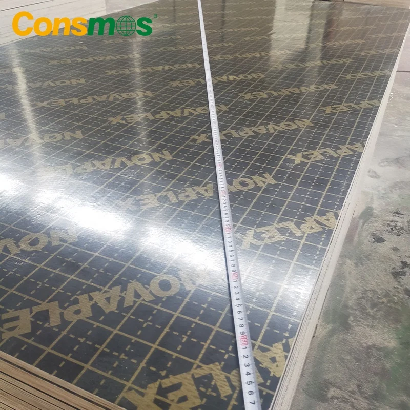 Building Material 18mm 1220x2440mm WBP Glue Waterproof Plywood Biz Standard Film Faced Plywood Board for Construction