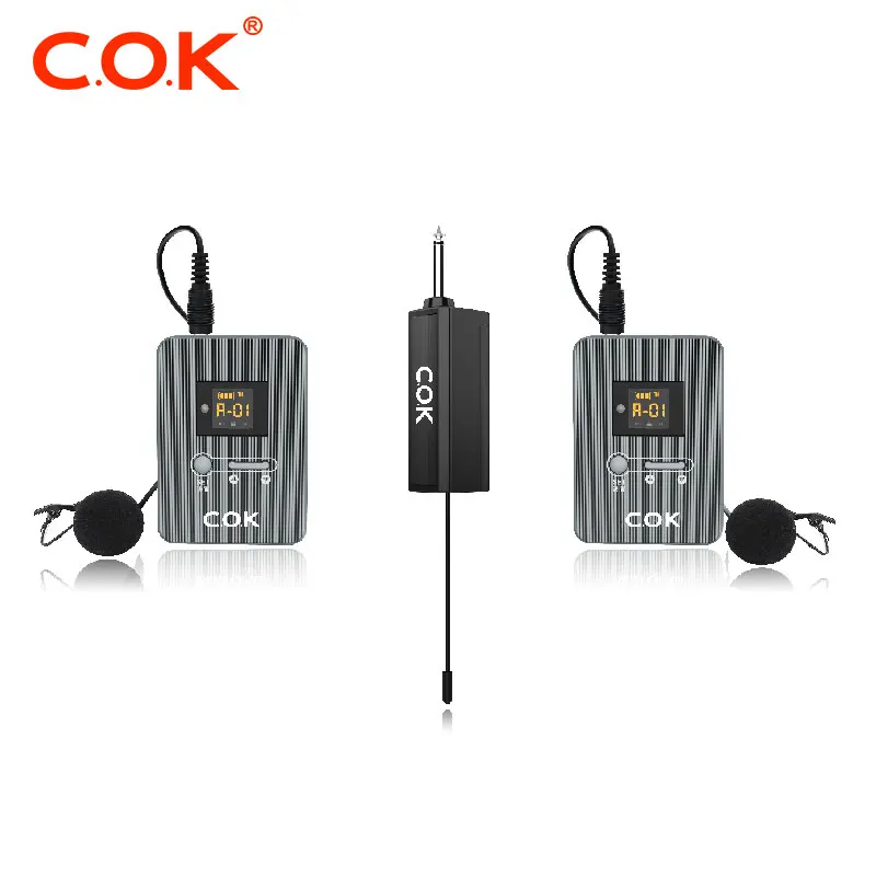 Горячая продажа беспроводной системы беспроводной микрофон для преподавателя публичных разговоров