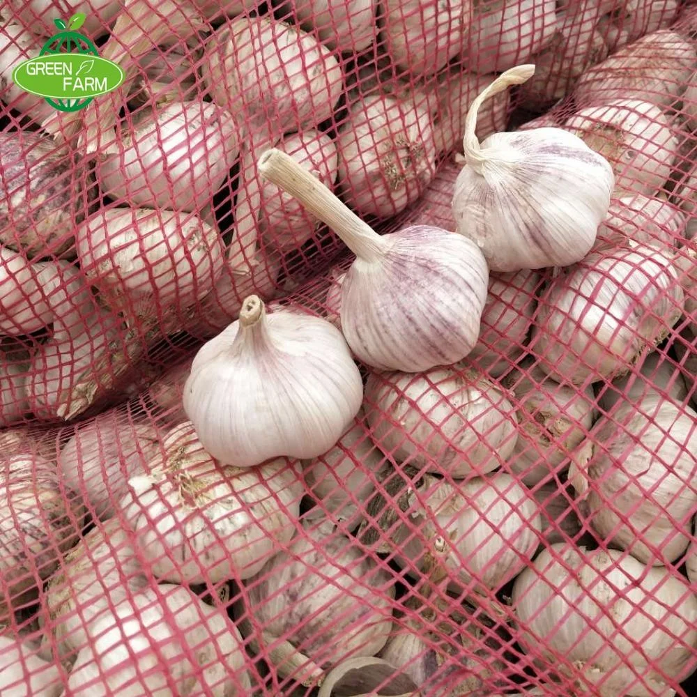 2021 Hot sales Chinese Fresh Garlic Price - New crop