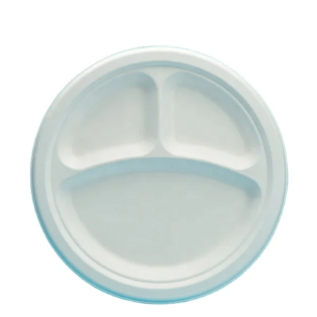 Disposable white paper plates made of bagasse PFAS and chemical free bagass plates for wedding birthday and party