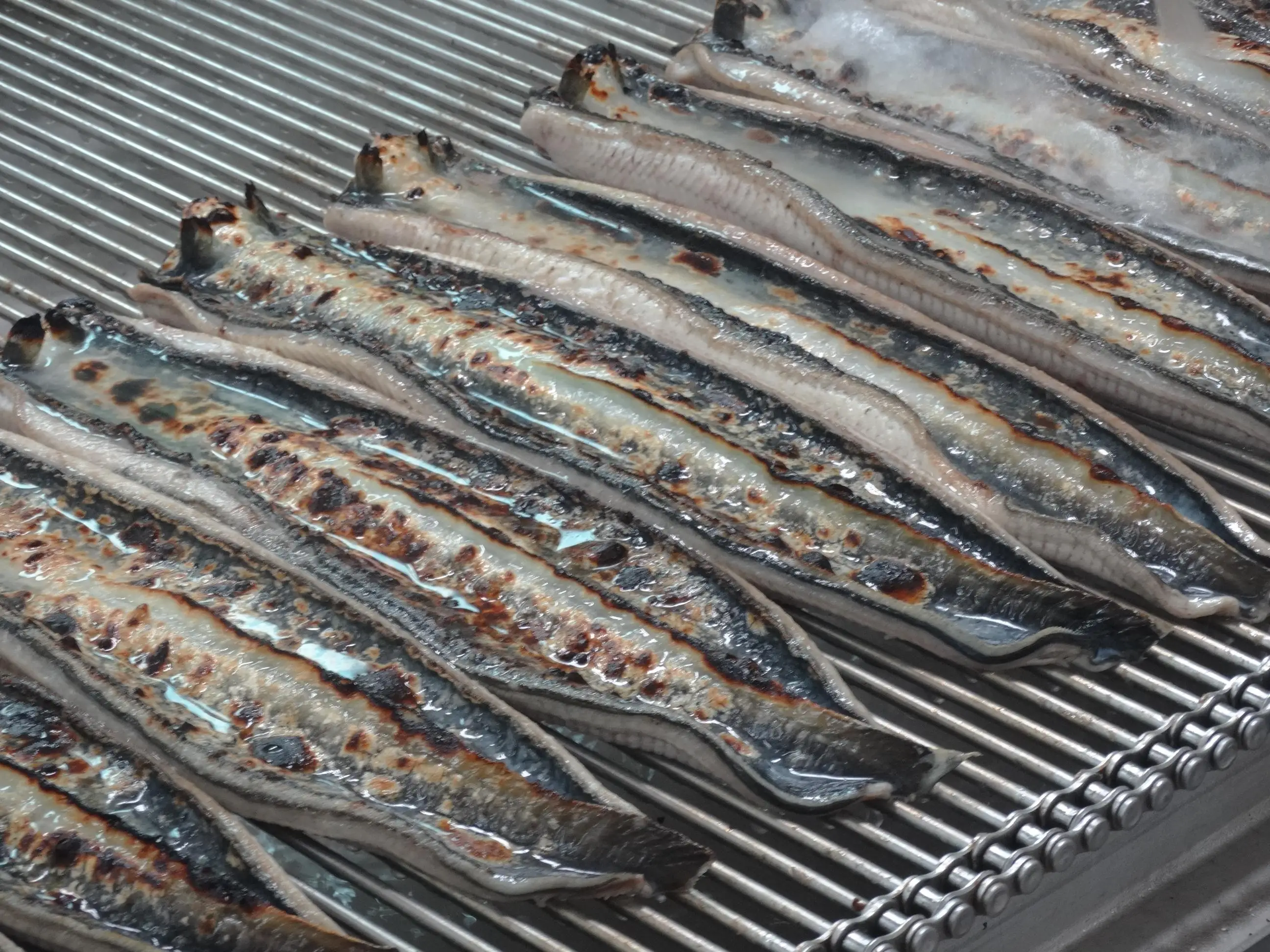 Cheap Price Eel Over Rice Savory Japanese Cuisine Cooked Eel Fish Roasted