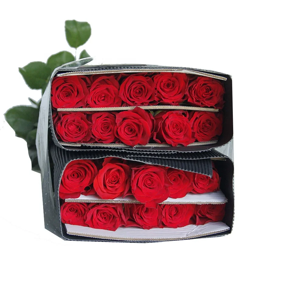 Competitive Price Long Stem Natural Bulk Fresh Cut Flowers Red Roses For Wedding Valentines Flower Arrangement Decoration