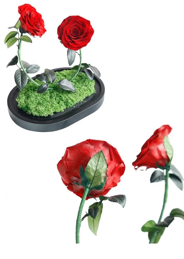 2020 Feiliya factory wholesale immortal eternal flower roses preserved glass dome