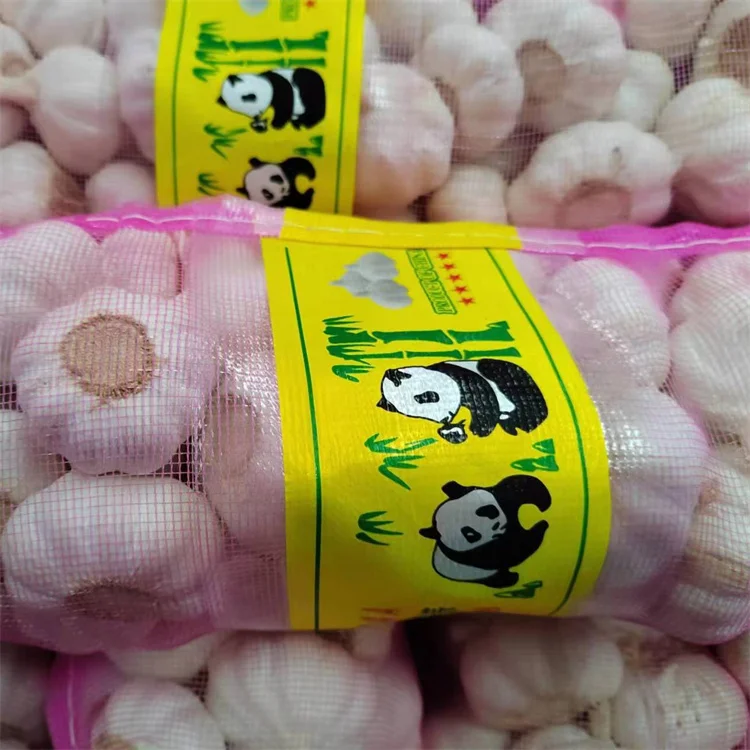 Garlic fresh normal white garlic in bulk Chinese ekspor red new crop big head ajo garlic bawang putih mesh bag