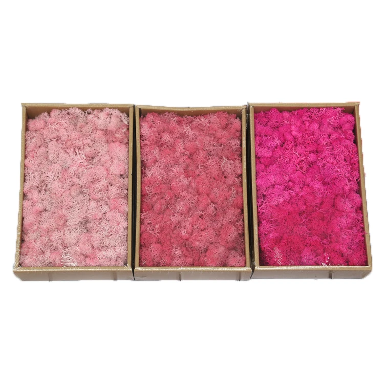 
Yunnan A Grade Dried Flowers Wholesale Lichen Preserved Moss For House Decoration 