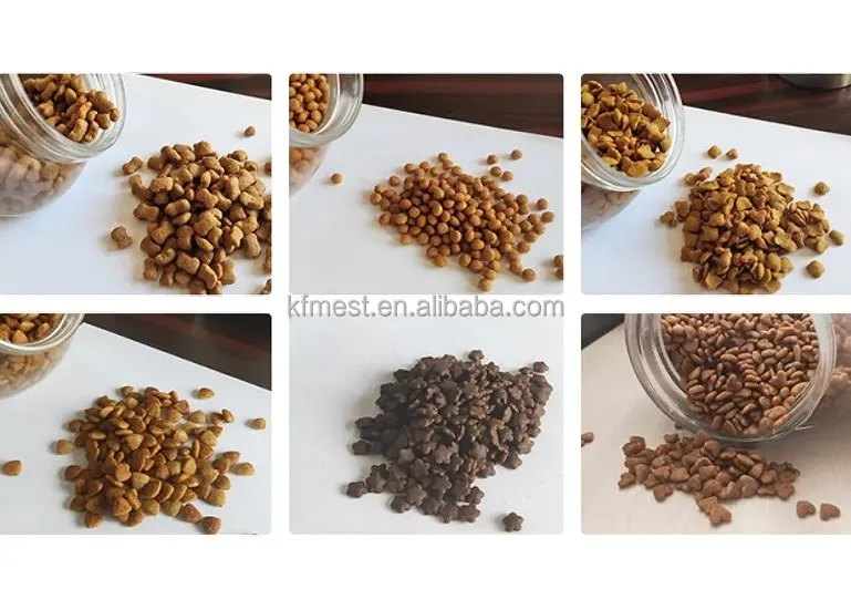 Cheap Price Floating Fish Feed Machine Wet Type 1-20mm Granule Floating Submerged Feed Fish Food Machine