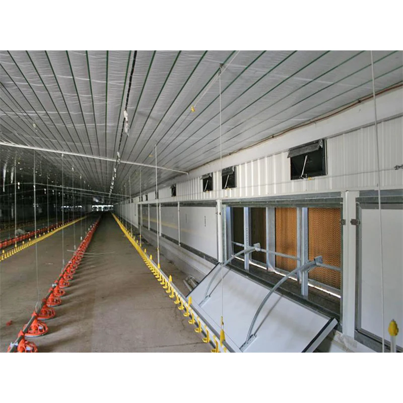 Сборная куриная ферма Современная яичный слой птицефабрика дизайн для куриной