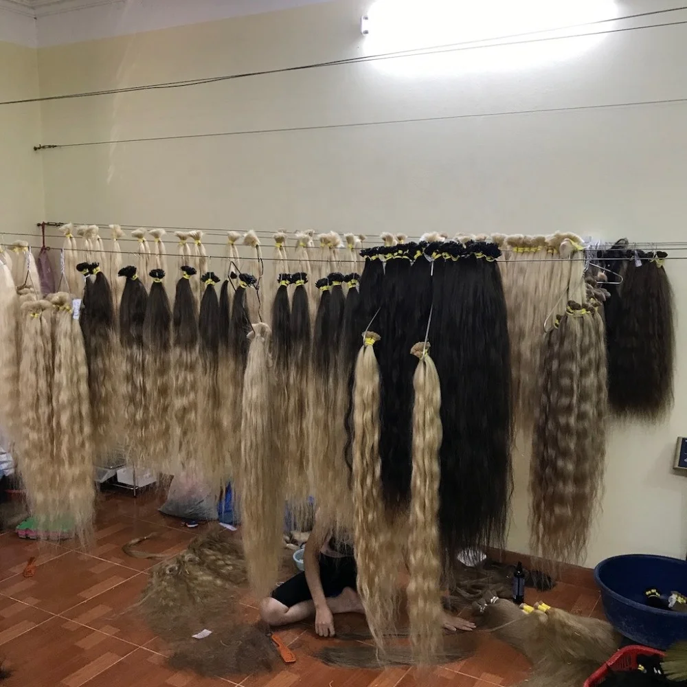 Ombre Wavy Natural Vietnamese Human Hair colored palette hairshop