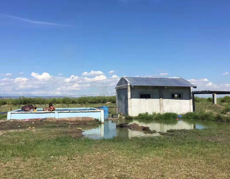 4PSS 5inch 36 volt 1inch 1hp solar water pump 12v