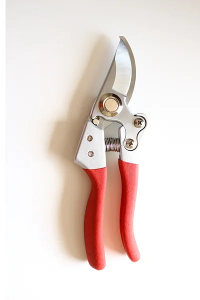 Factory Direct Wholesale Stock Stainless Steel Plastic Dip Pruning Shears Picking Fruit Grape Fruit Branches Garden Hand Tools