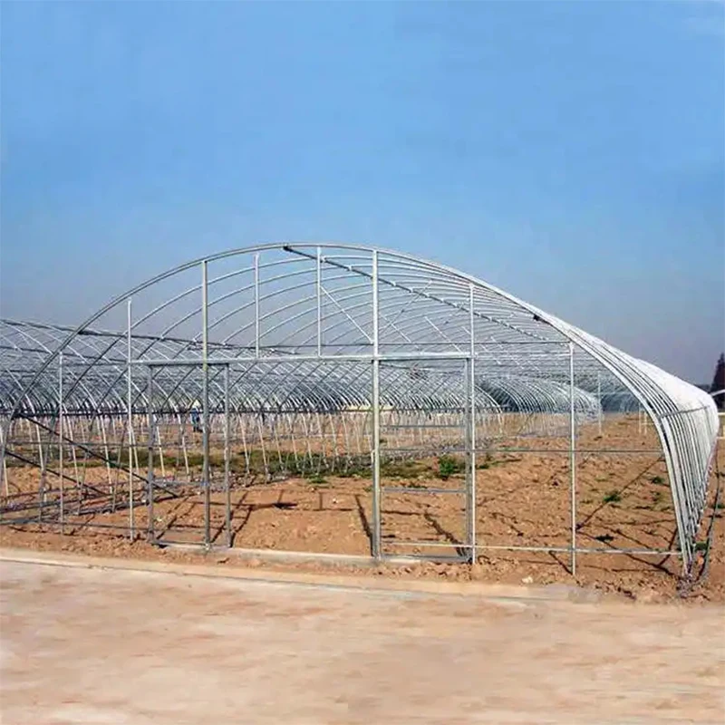 Searea-SC84 (2)