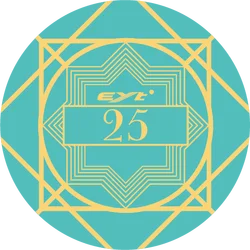 poker chips set ceramic casino poker chips 14g poker chips