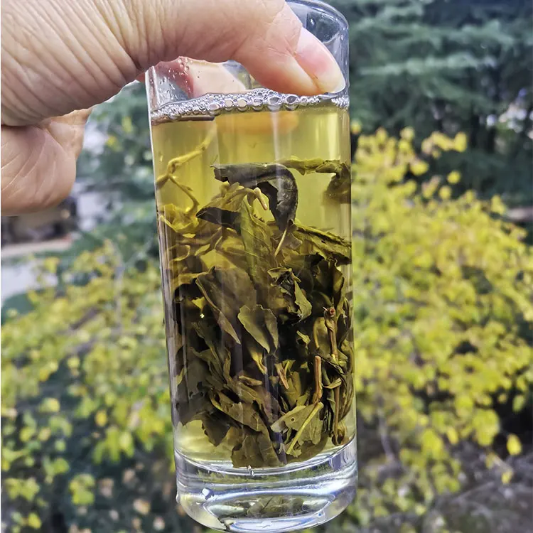 Te Verde Organic Leaf Special Gunpowder Price Green Tea Leaves In Uzbekistan Turkmenistan Afghanistan