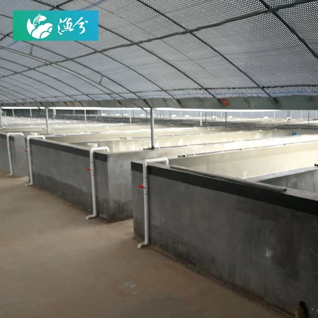 
Aquaculture tanks for large circulating water shrimp farm 