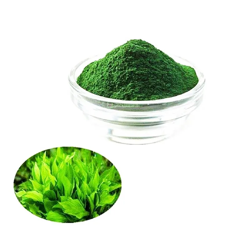 Price Alga Protein Powder Spirulina Extract Liquid With Best Prices