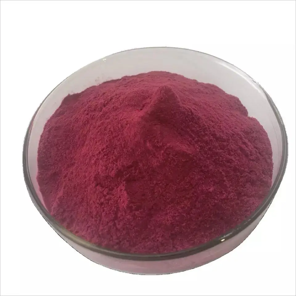 High Quality Health Food Vaccinium uliginosum Blueberry Fruit Powder