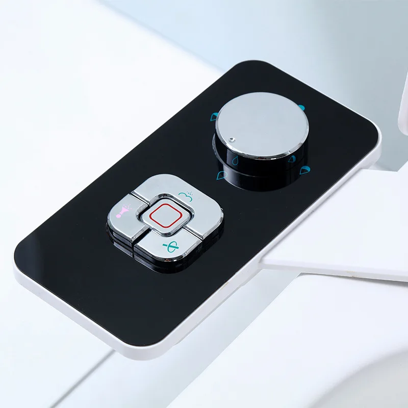 Modern luxury  combined toilet and bidet soft washing shattaf toilet bidet with two movable nozzles computerized toilet bidet