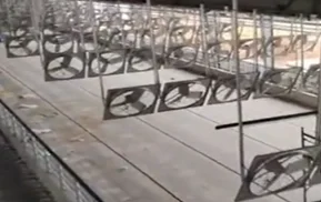 EC motor poultry fan farm animal husbandry equipment poultry farm fan permanent magnet sychronous motor