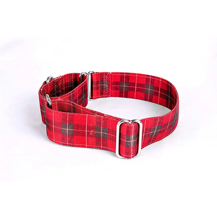 1.5 inch Wide Custom Print Martingale Dog Collar