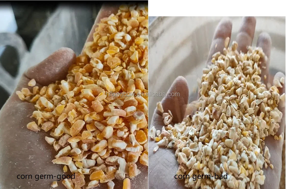 Rice Color Sorter meaning for organic rice Selector by Colors machines RGB  optical camera ccd
