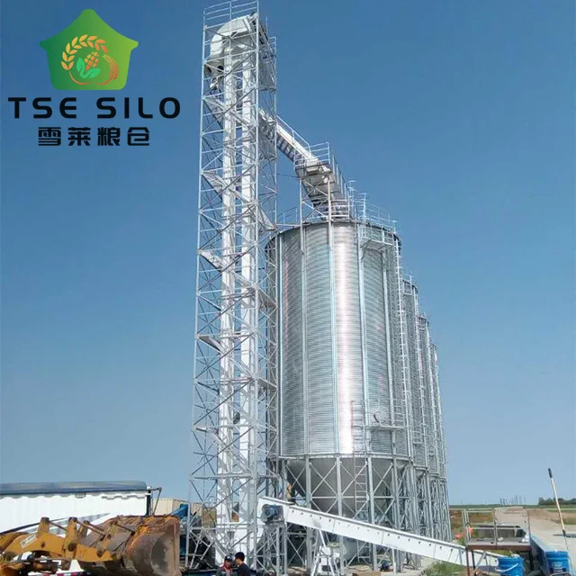 Food Grade Single bucket Vertical Lifting Lifter elevator Equipment Incline Conveyor Machine