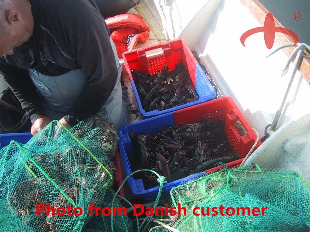 2019-2020 Newly R25-180 fishing trap for lobster shrimp crab factory price