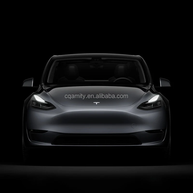 TESAL Model Y (5).jpg