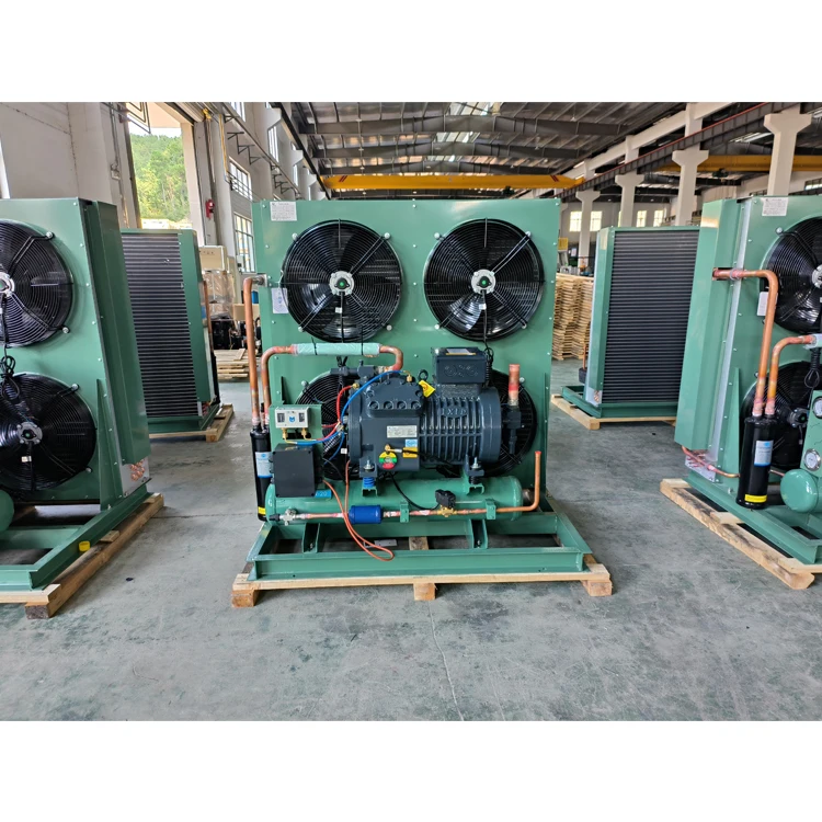 RuiXue High Quality Air Condenser Cold Room Condensing Units Cooler For cold Storage