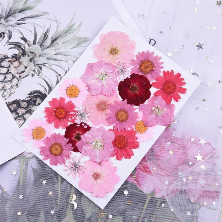Beautiful Multiple Real Pressed Leaves Natural Dried Flowers for Art Craft Scrapbooking Card Making Resin Jewelry Craft DIY
