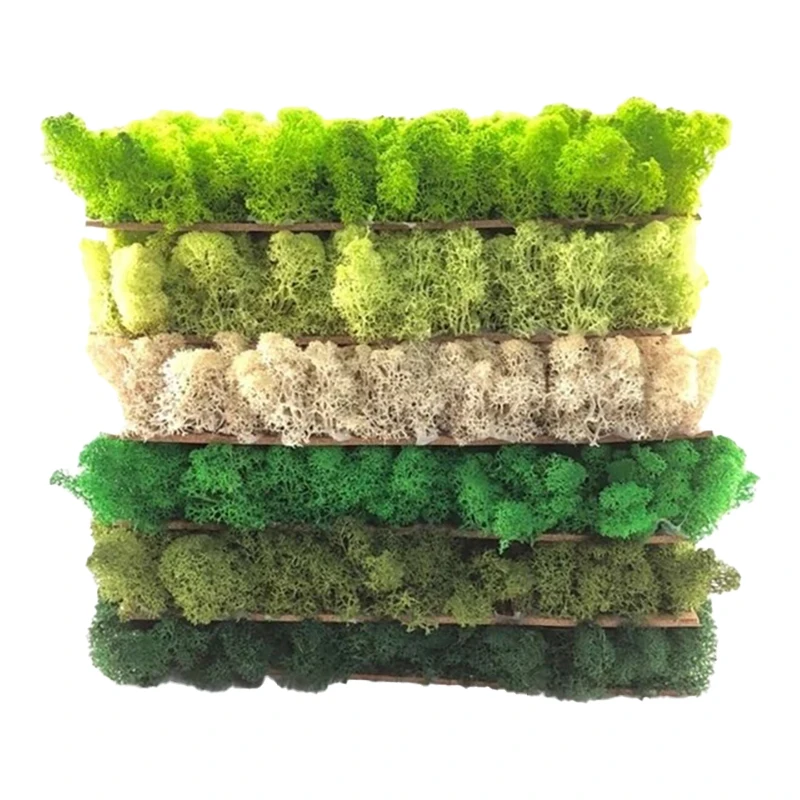 Wholesale Customized Forest Moss Panel Eco-Friendly Natural Preserved Moss Slice For Home Office Wall Decoration moss panel