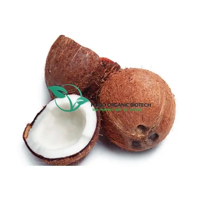 instant sugarcane powder / sugar cane powder for drink