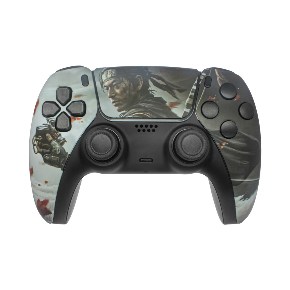 PS5 customized cover (10)