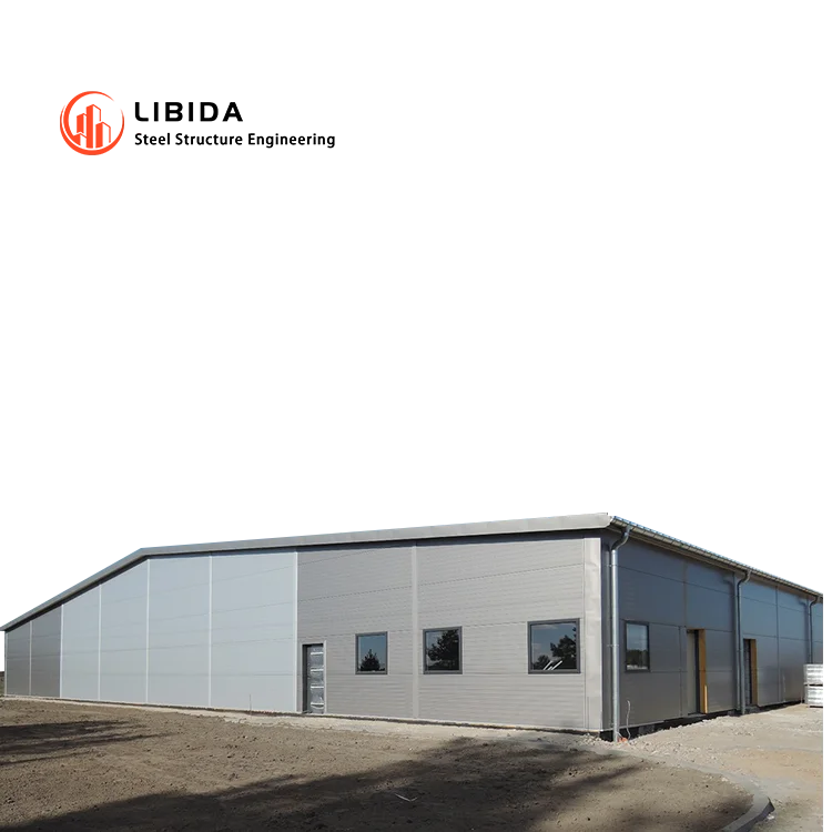 Low Cost Factory Prefabricated Galvanized Sheet Metal Frame Industrial Warehouse Steel Structure Storage Buildings and Garage