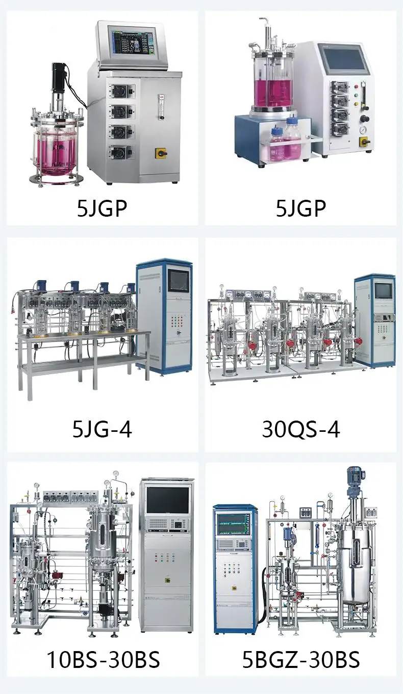 Plant bioreactor industrial Biological Fermentor Algae Photo-bioreactor Ascorbic Acid Fermenter Bioreactor