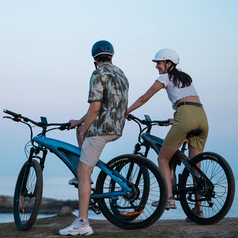 New Lcd Display Shimano 9 Speed 50 Mph 27.5 Inch 48 Volt Battery Fat Tire Off Road Bikes Delivery Bike Electric E-bike