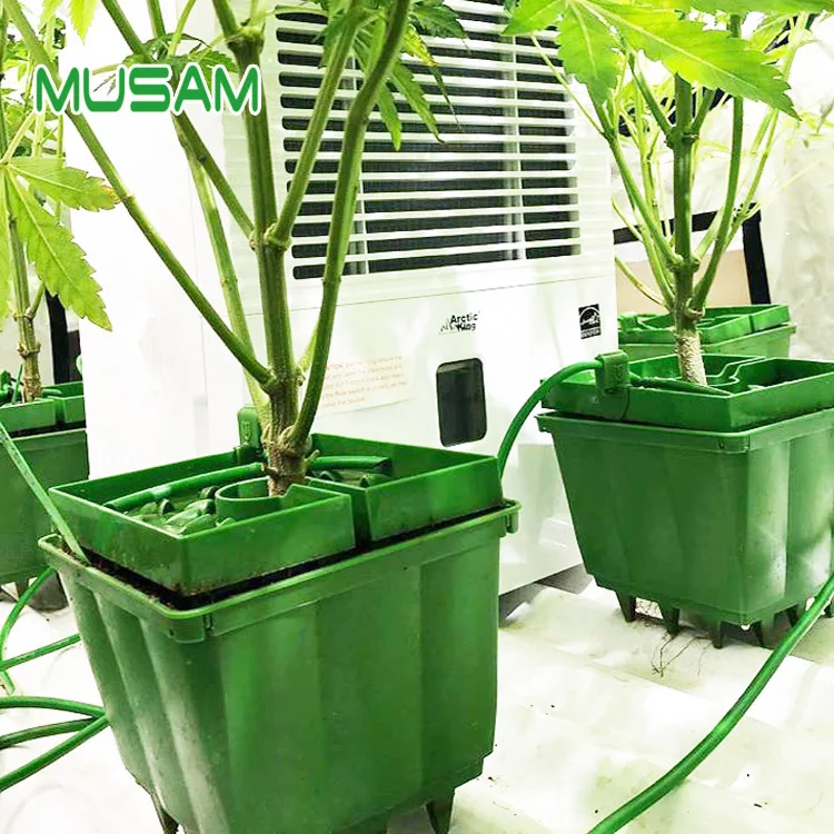 Growing Flood Table Substrate Pots Hydroponic Grow Pot