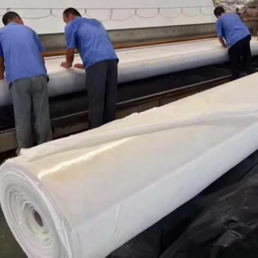 Fish Lobster and Shrimp Farm pond  Liner in Agriculture and Aquaculture geomembrane