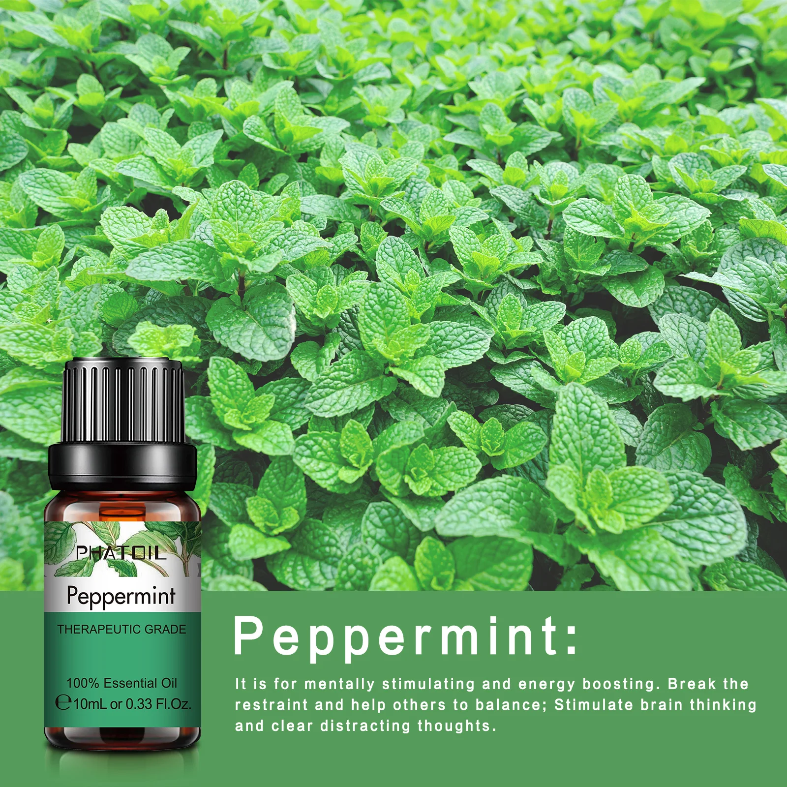 Essential Oil Sets 10pcs Wholesale 10ml Natural Plant Extract Essential Oil OEM For Aroma Diffuser Candle Making