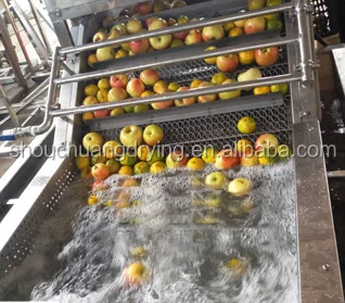 Industrial Sterilization Air Bubble Fruit/Vegetable Washing/Washer/Cleaner Machine for Food Processing