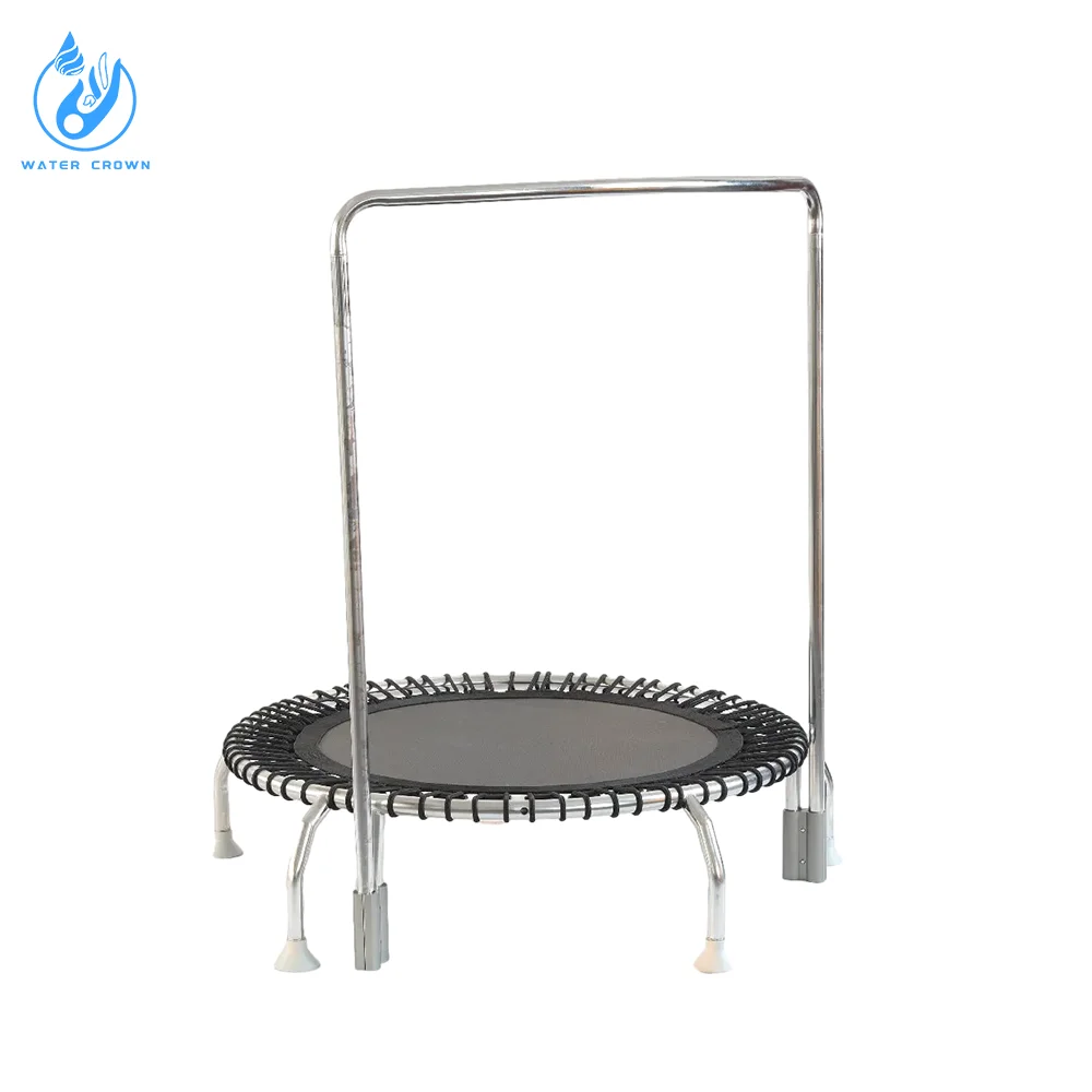 Manufacturer Direct Sale Stainless Steel Swimming Pool Water Sports Safety Fitness Trampoline with Pump and Filter