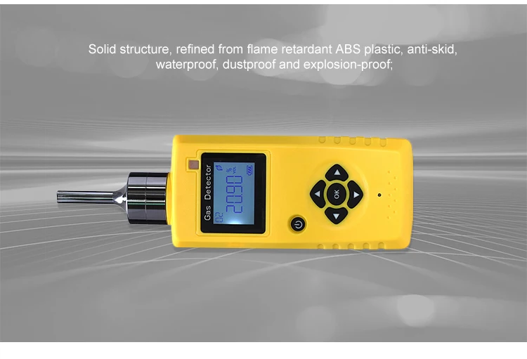 Pump Suction Safety-Industrial Carbon Monoxide Gas Analyzer For Measuring Flue Gases
