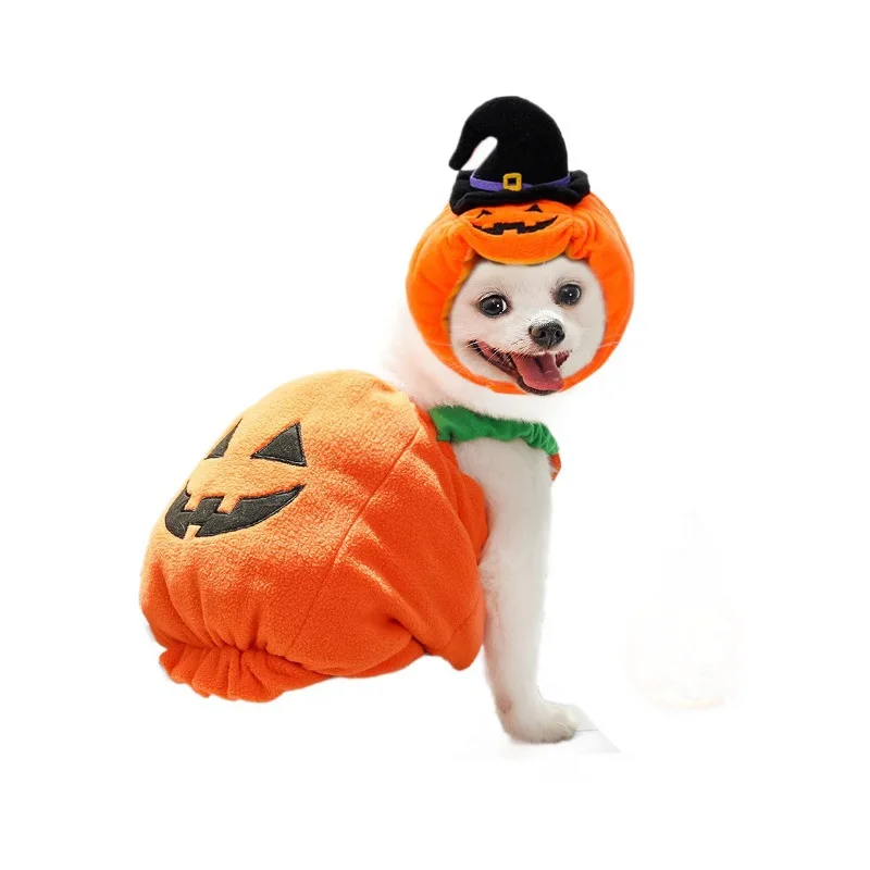 Halloween Holiday Pumpkin Lights Transformer Costume Spooky Cat Pet Dog Clothes