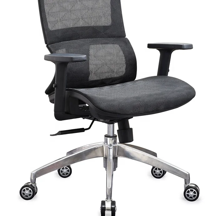 Executive modern erhohuman  office chair