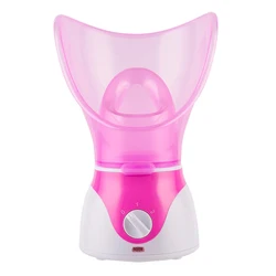2020 Newest Beauty Products Mist Sprayer Hot Sale Facial Sauna Moisturizer Ionic Nano Facial Steamer